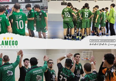 Este fim de semana, os grandes do andebol português passam por Lamego