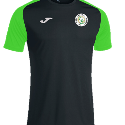 T-shirt 2 cores
