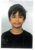 Pithadia