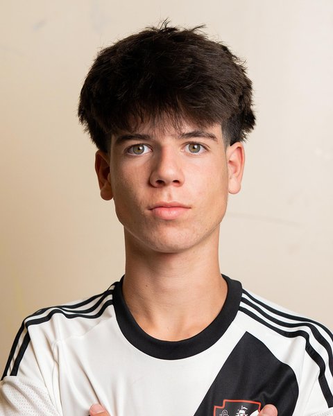 Vigário