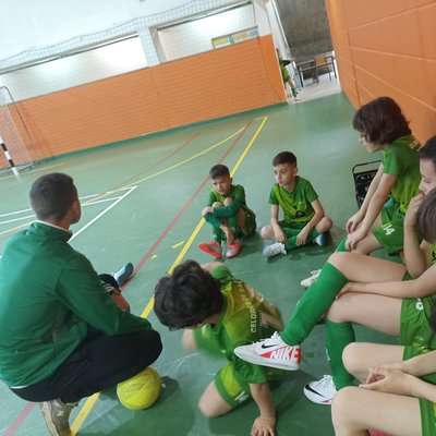 Traquinas