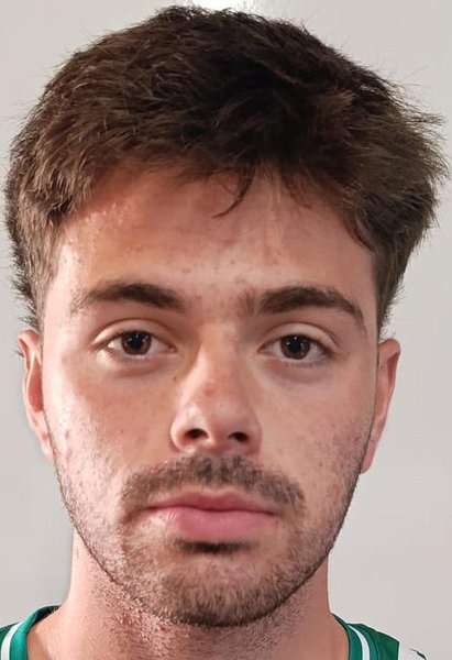 Diogo Sendim