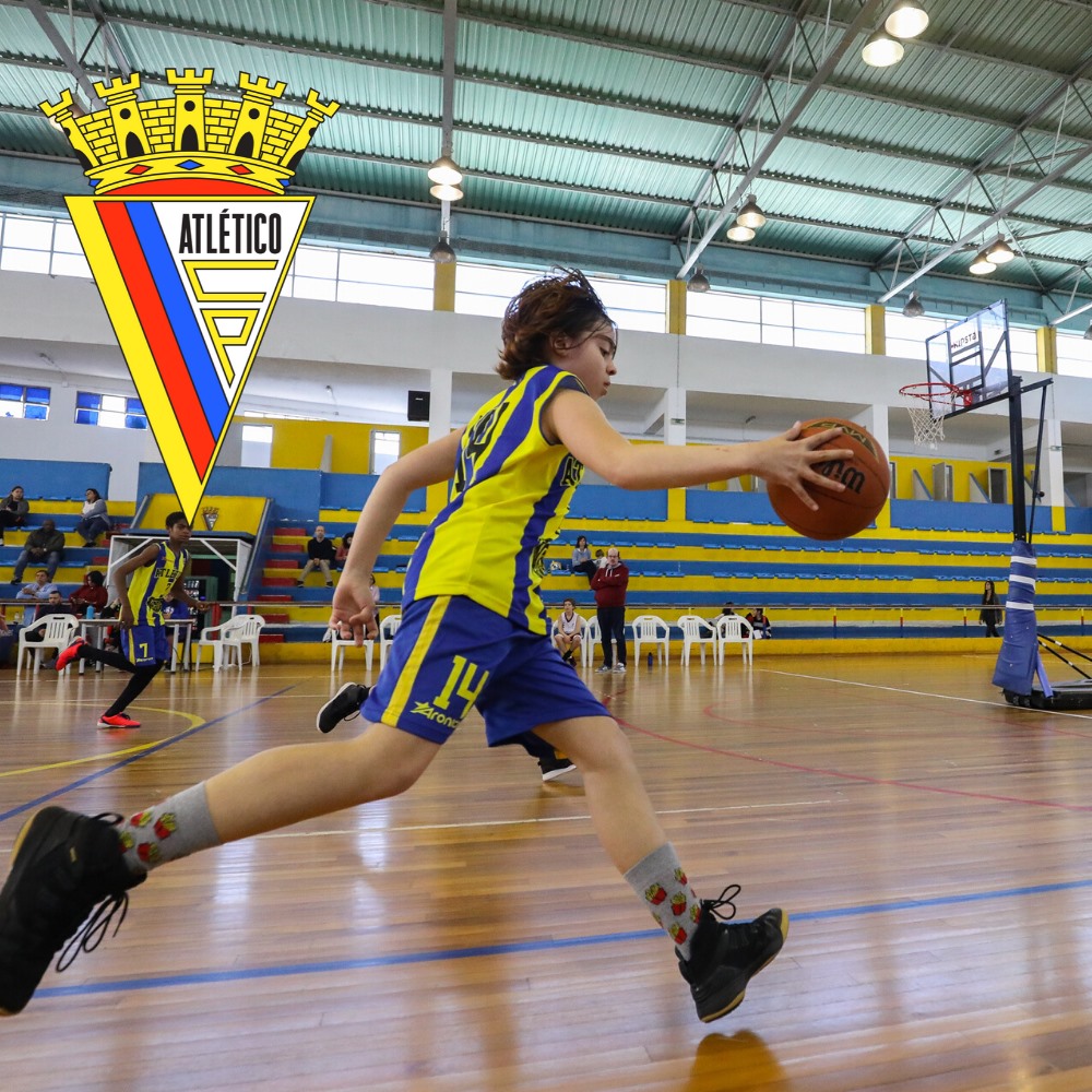 Liga Portuguesa De Basquetebol Site Oficial
