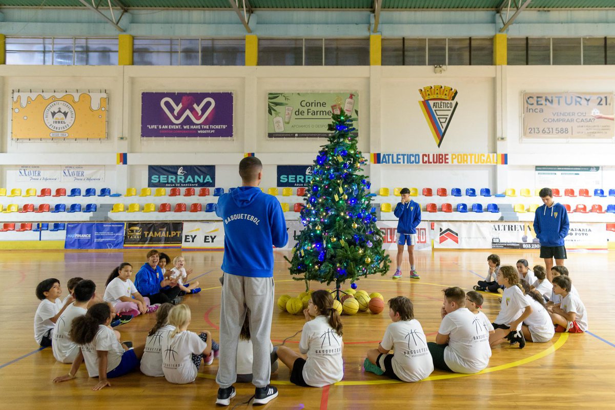 Montagem da Árvore de Natal