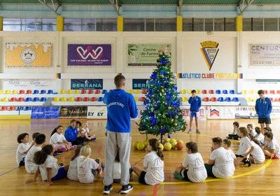 Montagem da Árvore de Natal