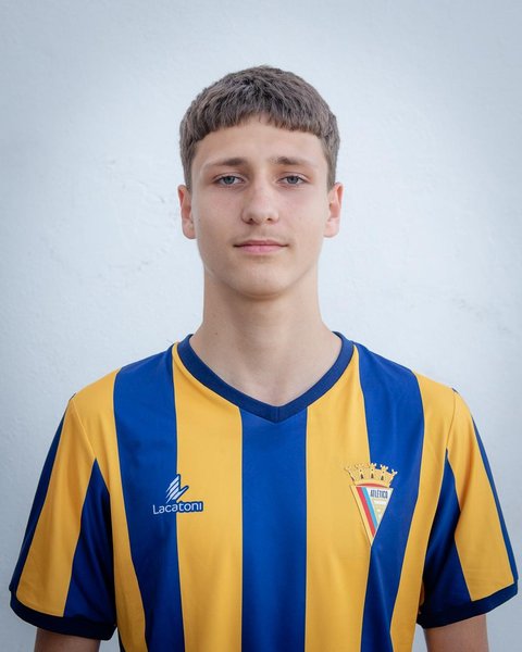 Vladimir Perestov