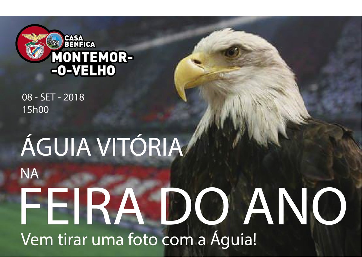 Águia Vitória na Feira do Ano