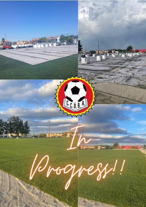 Novo Relvado Campo de 11