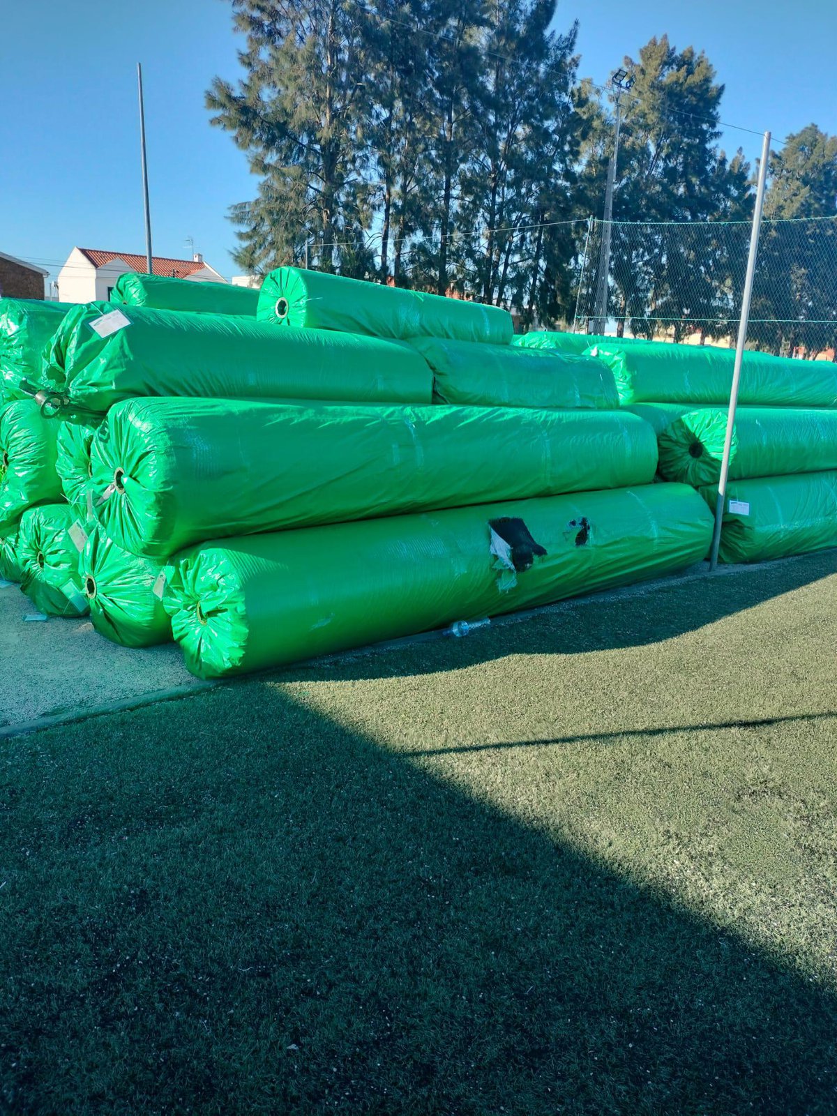 NOVO RELVADO PARA O CAMPO DE 11