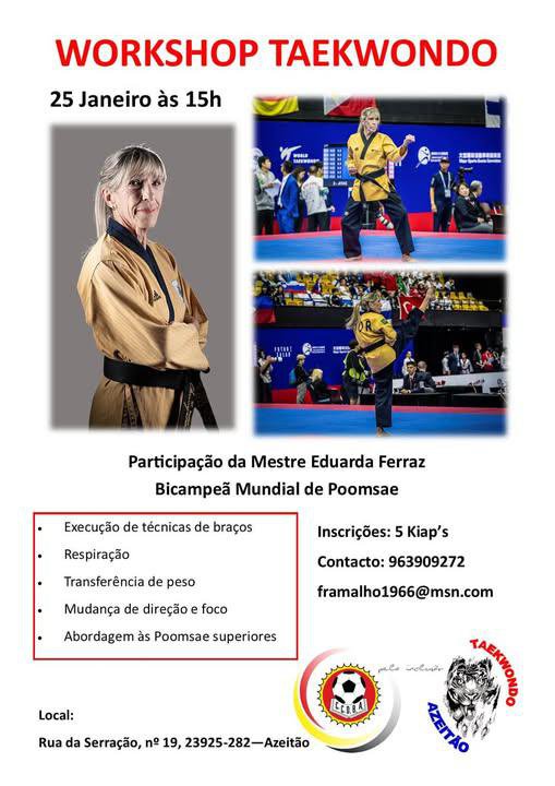 WORKSHOP DE TAEKWONDO