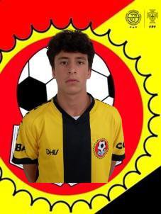 PASSARINHO