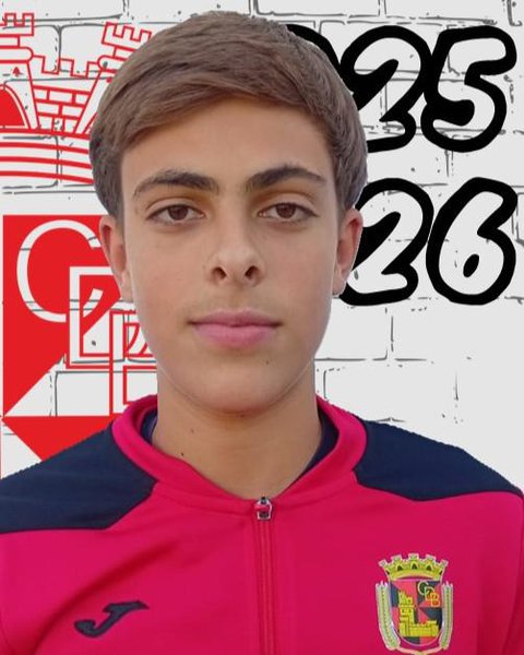 Artur Rosa