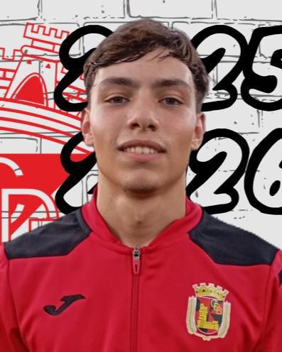 Dinis Torres