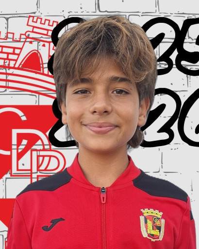 Francisco Alegre Lopes