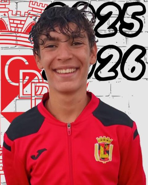 Pedro Guerreiro