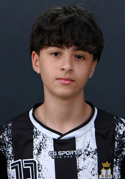 Flávio Havi
