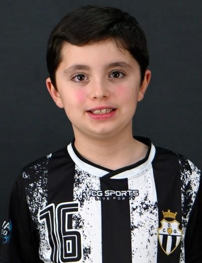 Afonso Henrique Silva