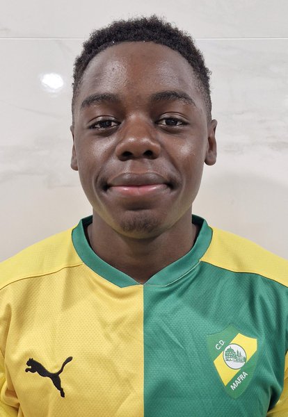 Karl Kounzi