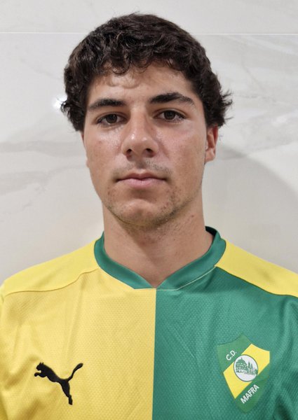 Vicente Alves