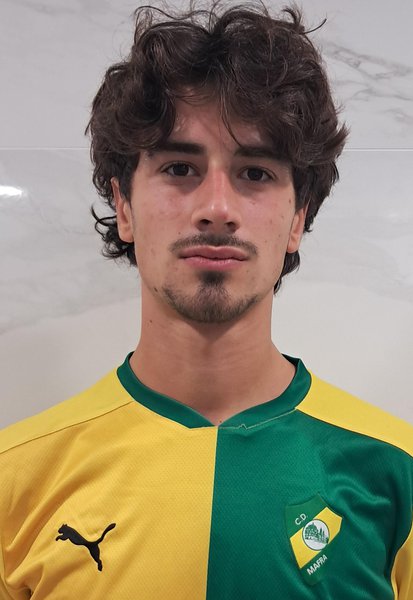 Henrique Luís