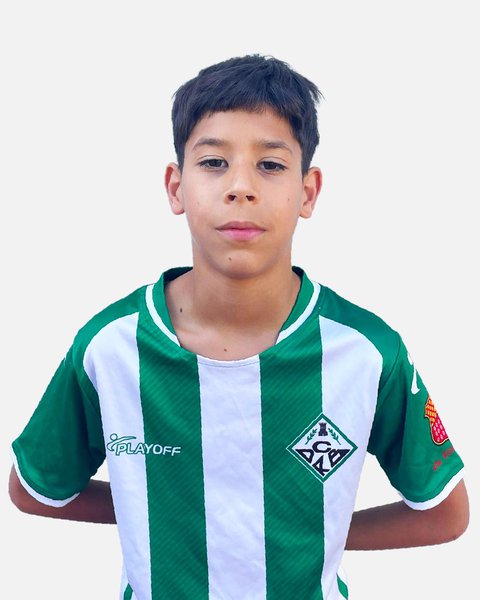 Davier Alexander Mireles Mendes