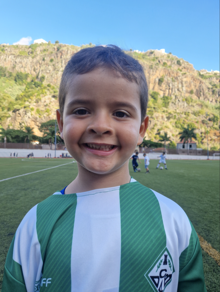 Lucas Henrique Gonçalves Mendes