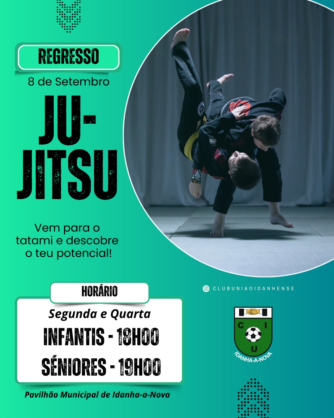 Ju Jitsu