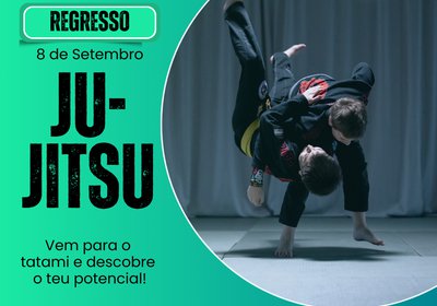 Ju Jitsu