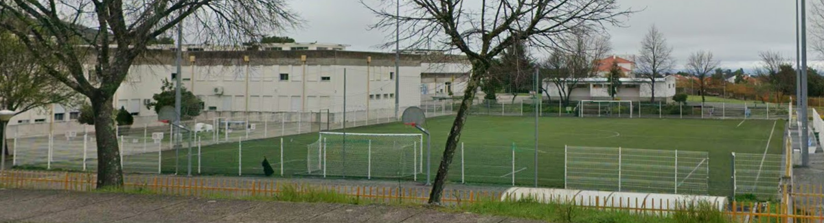 Campo Sintético