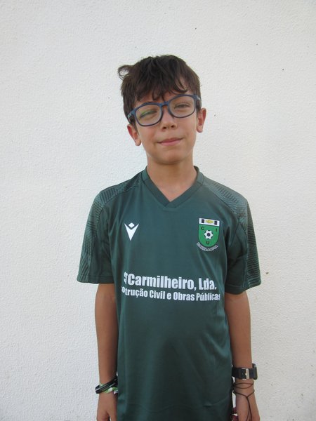 Henrique Martins