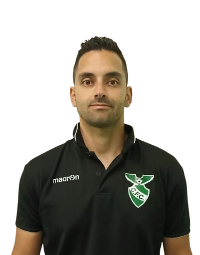 Luís Ribeiro