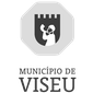 Município de Viseu