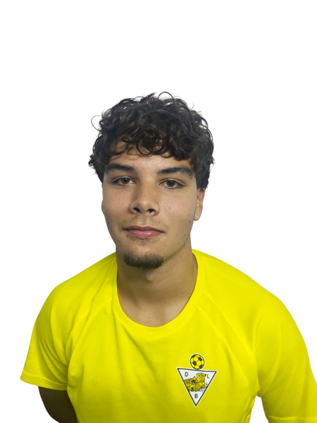 D. Ferreira