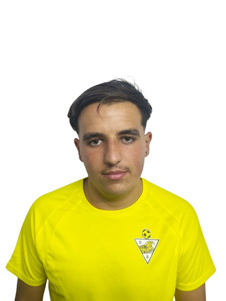 D. Fernandes