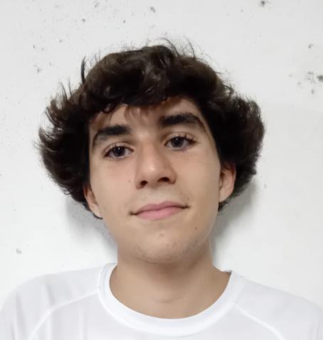 Martim Ribeiro