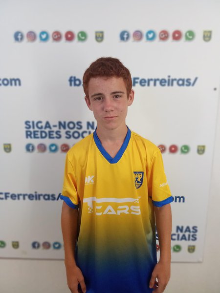 DINIS SILVA