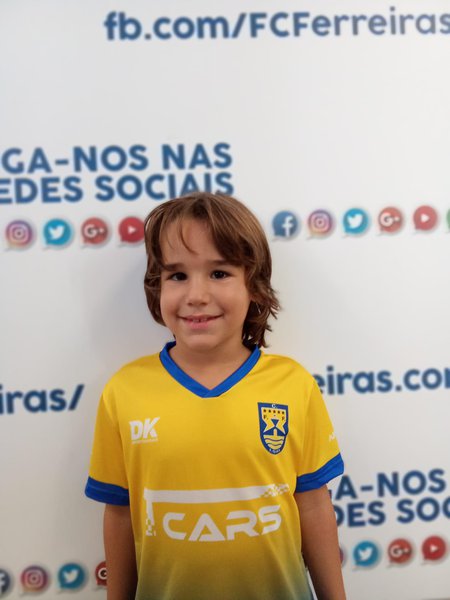 FRANCISCO GUERREIRO