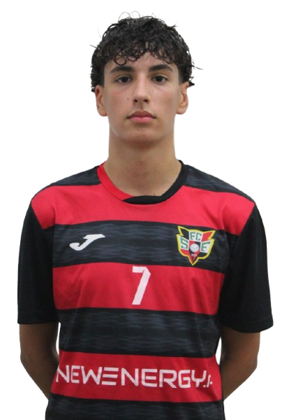 João Silva