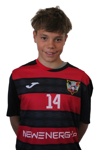 Gonçalo Ribeiro