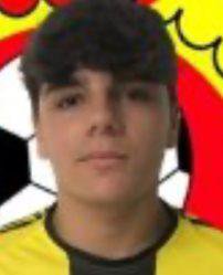 Dinis