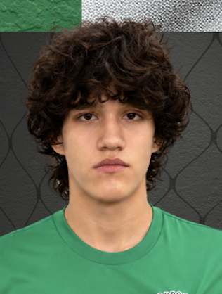 Dinis Alves