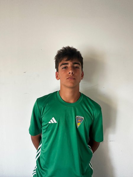 Afonso Tavares