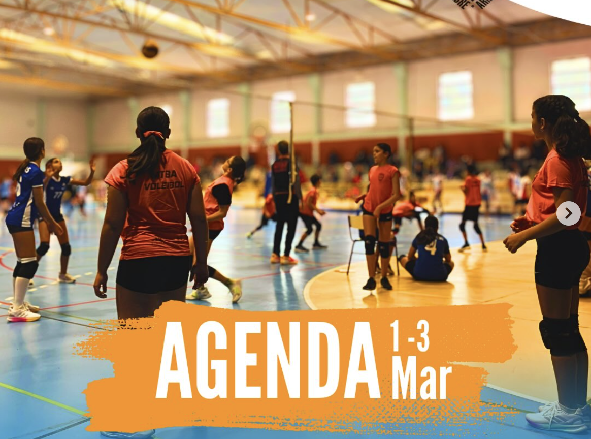 Voleibol - Agenda de fim de semana