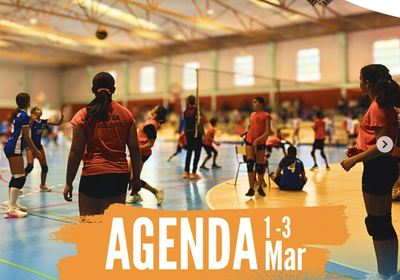 Voleibol - Agenda de fim de semana