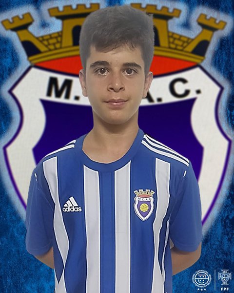 Tomás Guerreiro