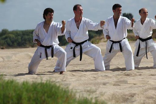 Mortágua Shukokai Karate DO
