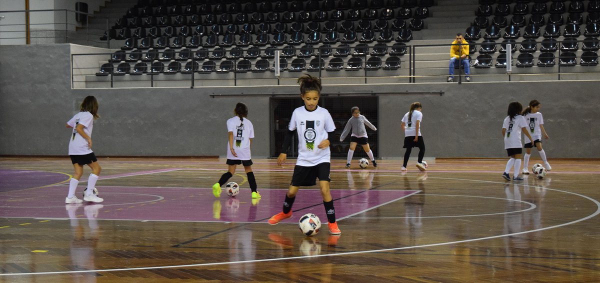 Futsal: "Já houve uma evolução engraçada"