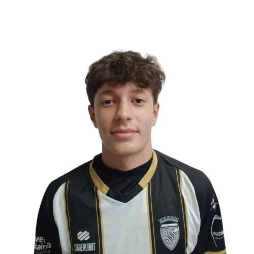 Henrique Henriques