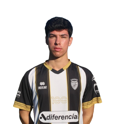 Luís Raposo