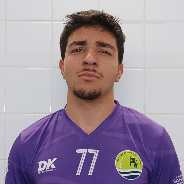 Afonso da Silva Martins